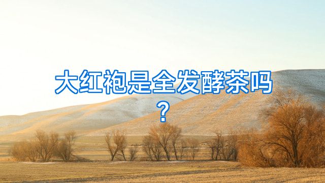 大红袍是全发酵茶吗?