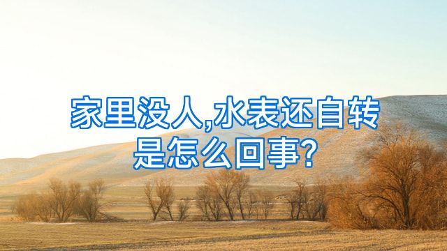 家里没人,水表还自转是怎么回事?