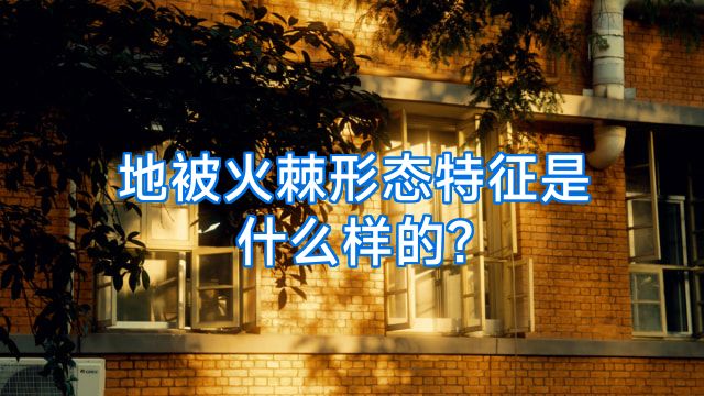 地被火棘形态特征是什么样的?