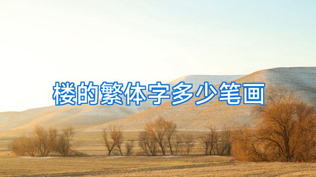 楼的繁体字多少笔画