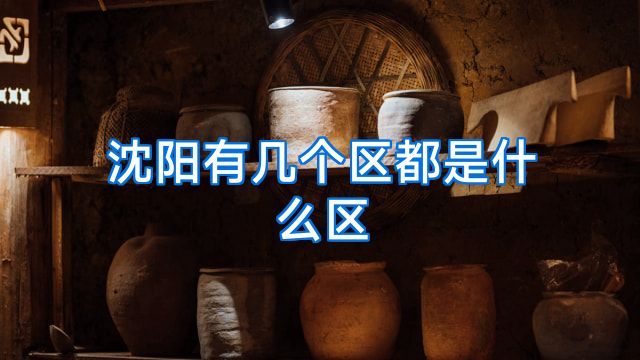沈阳有几个区都是什么区