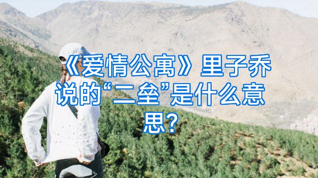 《爱情公寓》里子乔说的“二垒”是什么意思?