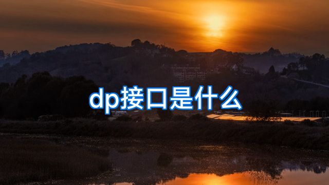 dp接口是什么