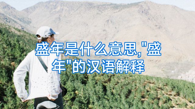 盛年是什么意思,