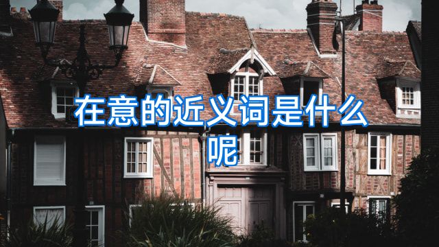 在意的近义词是什么呢