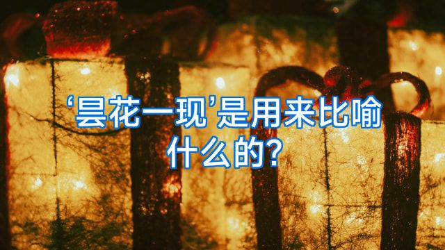 ‘昙花一现’是用来比喻什么的?