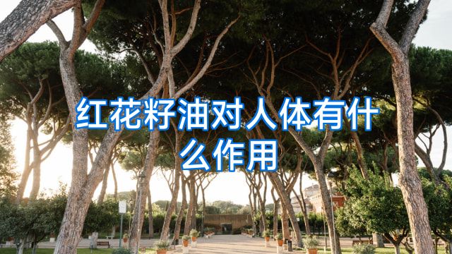 红花籽油对人体有什么作用