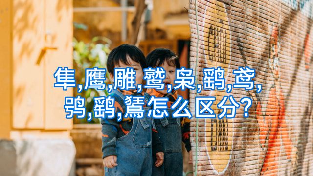 隼,鹰,雕,鹫,枭,鹞,鸢,鸮,鹞,鵟怎么区分?