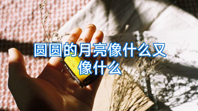 圆圆的月亮像什么又像什么