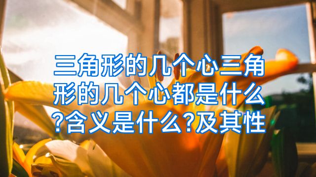 三角形的几个心三角形的几个心都是什么?含义是什么?及其性