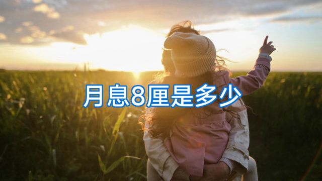 月息8厘是多少