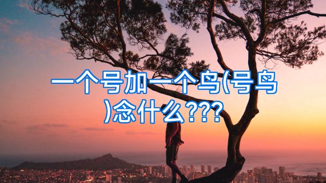 一个号加一个鸟(号鸟)念什么???