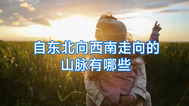 自东北向西南走向的山脉有哪些
