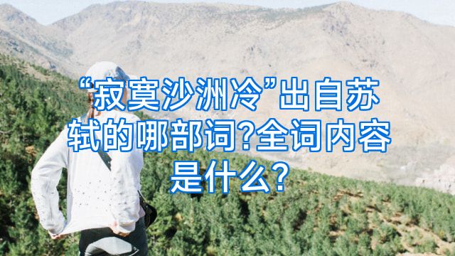 “寂寞沙洲冷”出自苏轼的哪部词?全词内容是什么?