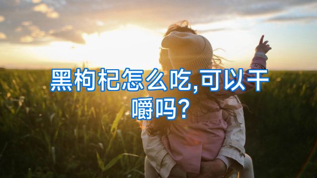 黑枸杞怎么吃,可以干嚼吗?