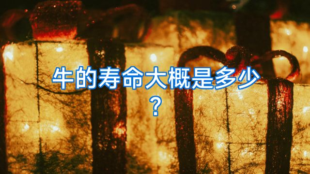 牛的寿命大概是多少?