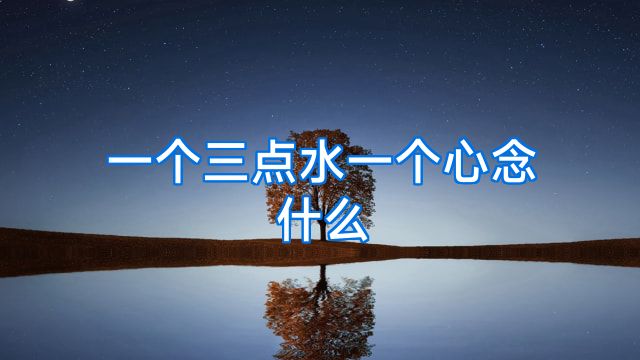 一个三点水一个心念什么