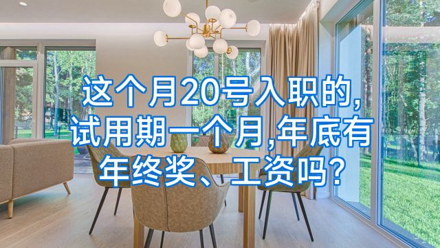 这个月20号入职的,试用期一个月,年底有年终奖、工资吗?