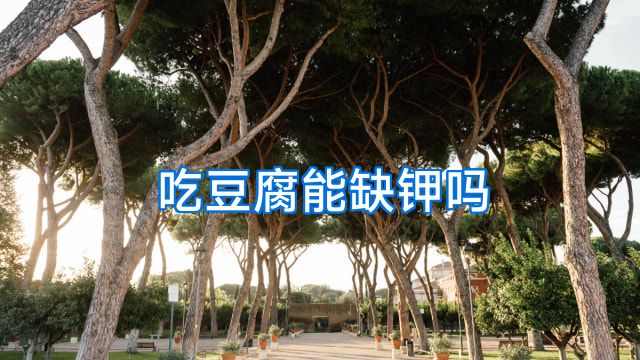 吃豆腐能缺钾吗