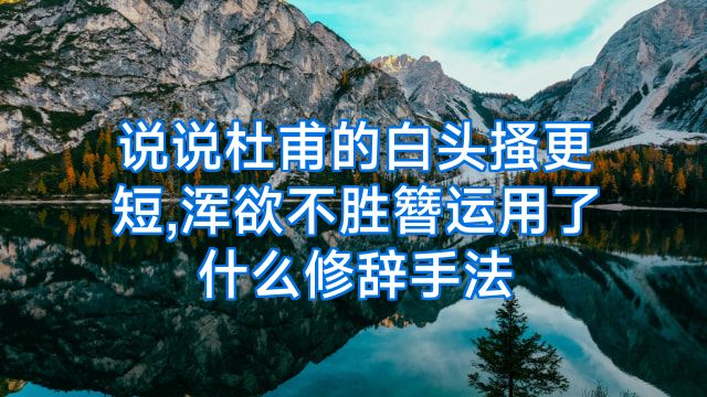 说说杜甫的白头搔更短,浑欲不胜簪运用了什么修辞手法
