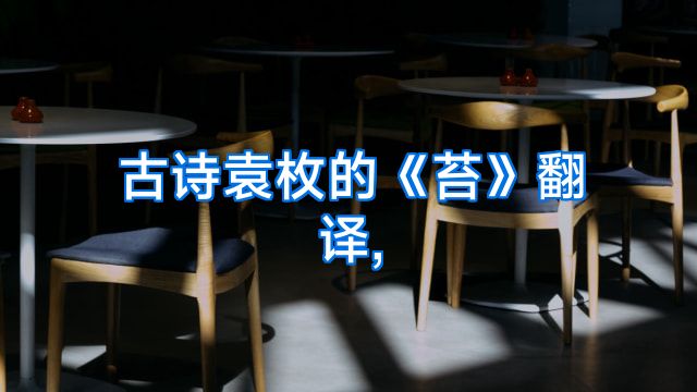 古诗袁枚的《苔》翻译,