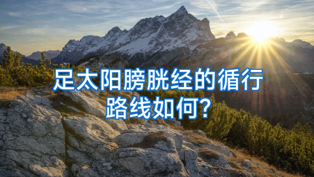 足太阳膀胱经的循行路线如何?