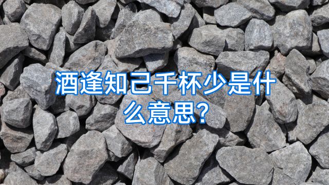 酒逢知己千杯少是什么意思?