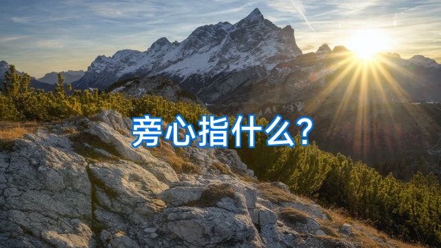 旁心指什么?