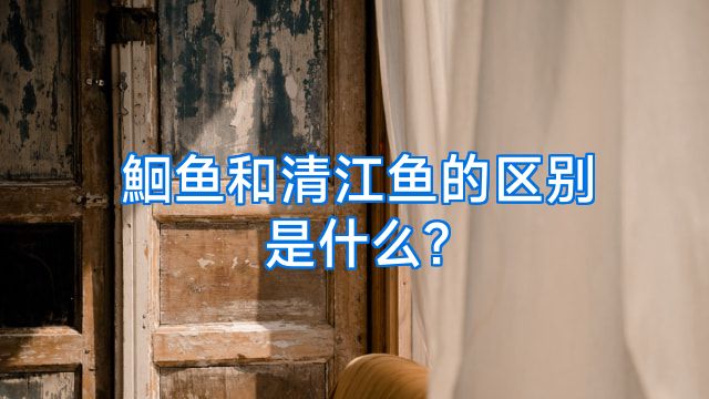 鮰鱼和清江鱼的区别是什么?