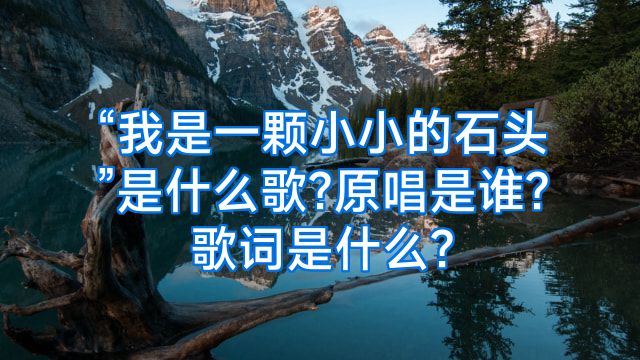 “我是一颗小小的石头”是什么歌?原唱是谁?歌词是什么?