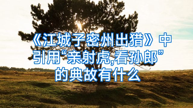 《江城子密州出猎》中引用“亲射虎,看孙郎”的典故有什么