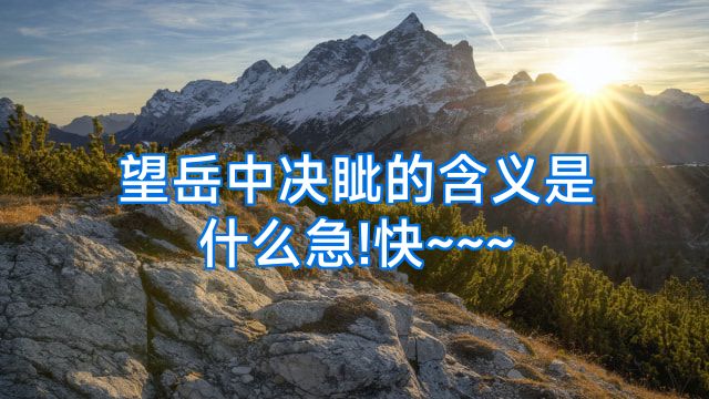 望岳中决眦的含义是什么急!快~~~