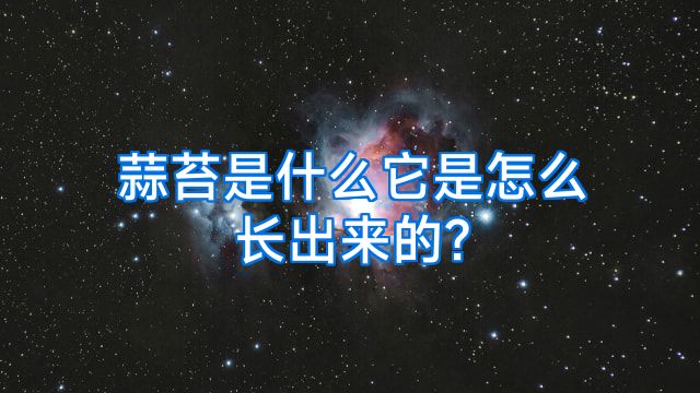 蒜苔是什么它是怎么长出来的?