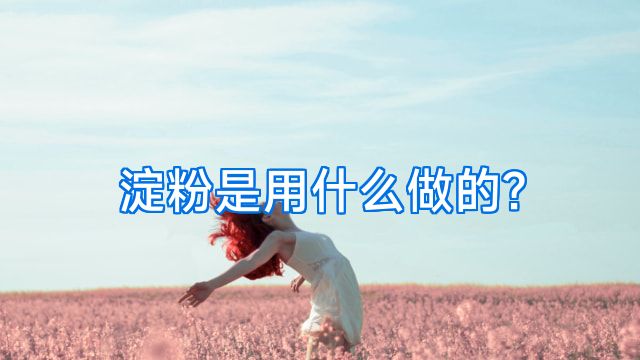 淀粉是用什么做的?