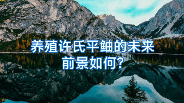 养殖许氏平鲉的未来前景如何?