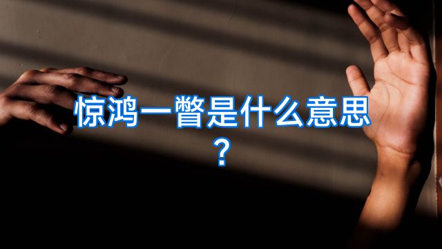 惊鸿一瞥是什么意思?
