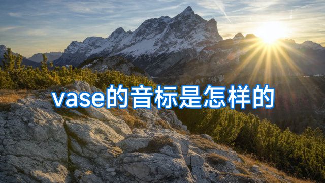 vase的音标是怎样的