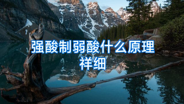 强酸制弱酸什么原理祥细