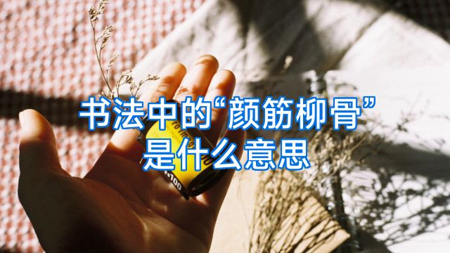 书法中的“颜筋柳骨”是什么意思