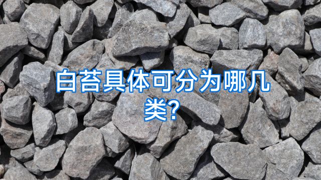 白苔具体可分为哪几类?