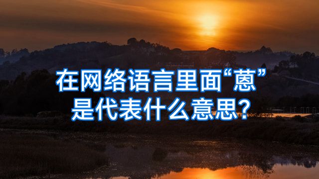 在网络语言里面“蒽”是代表什么意思?
