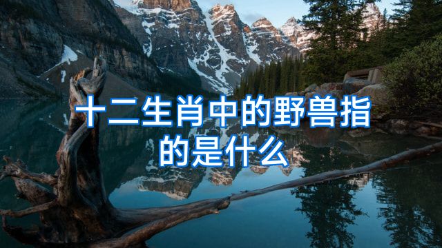 十二生肖中的野兽指的是什么