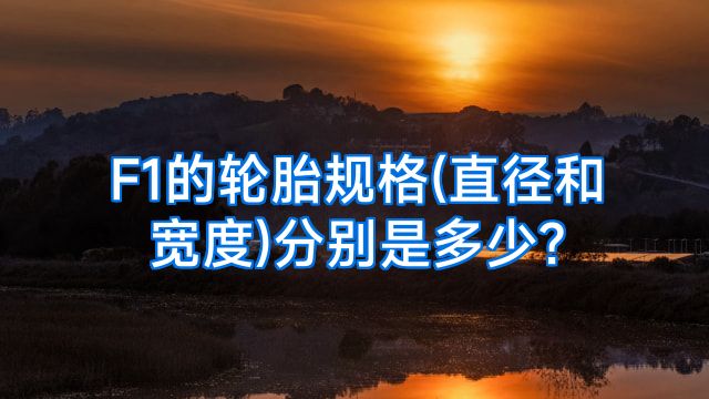 F1的轮胎规格(直径和宽度)分别是多少?