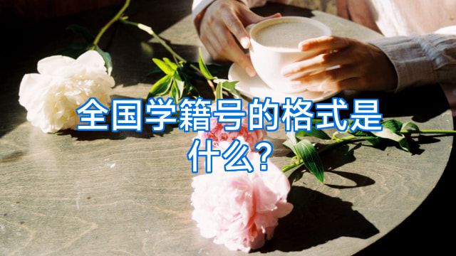 全国学籍号的格式是什么?