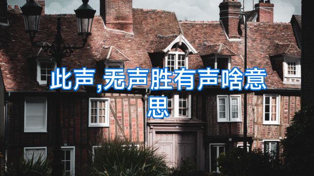 此声,无声胜有声啥意思