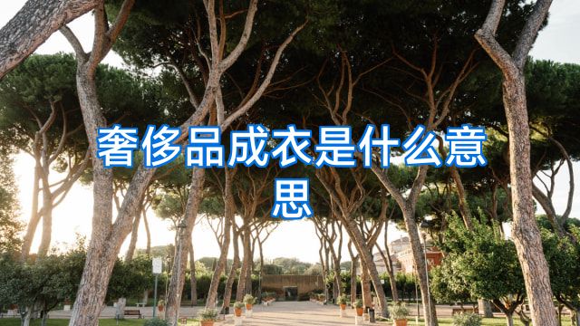 奢侈品成衣是什么意思