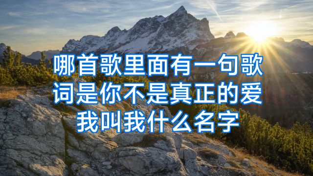 哪首歌里面有一句歌词是你不是真正的爱我叫我什么名字