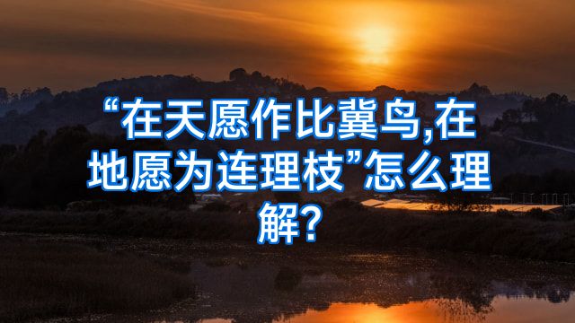 “在天愿作比冀鸟,在地愿为连理枝”怎么理解?