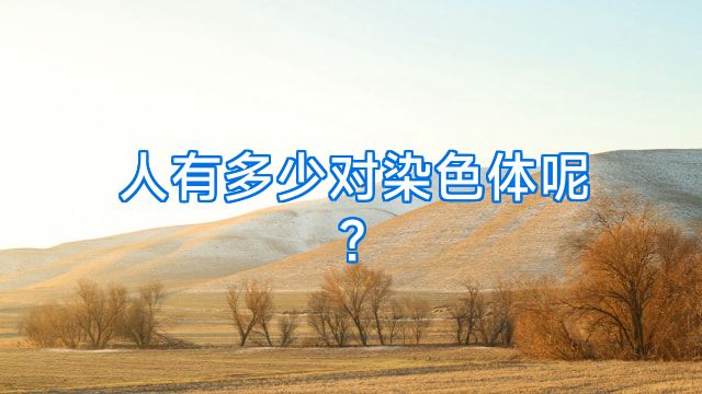 人有多少对染色体呢?