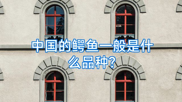 中国的鳄鱼一般是什么品种?